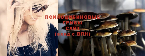 эйфоретик Струнино