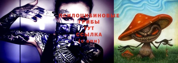 спиды Строитель