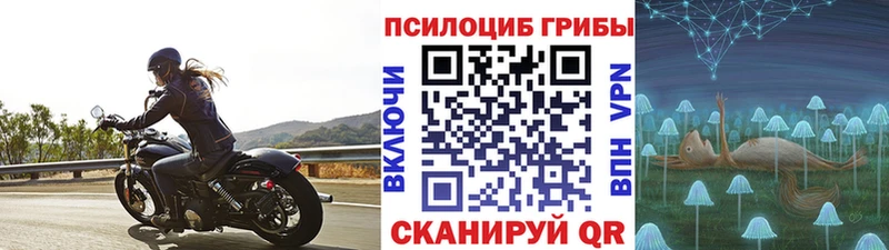 Галлюциногенные грибы Psilocybine cubensis даркнет сайт Тула