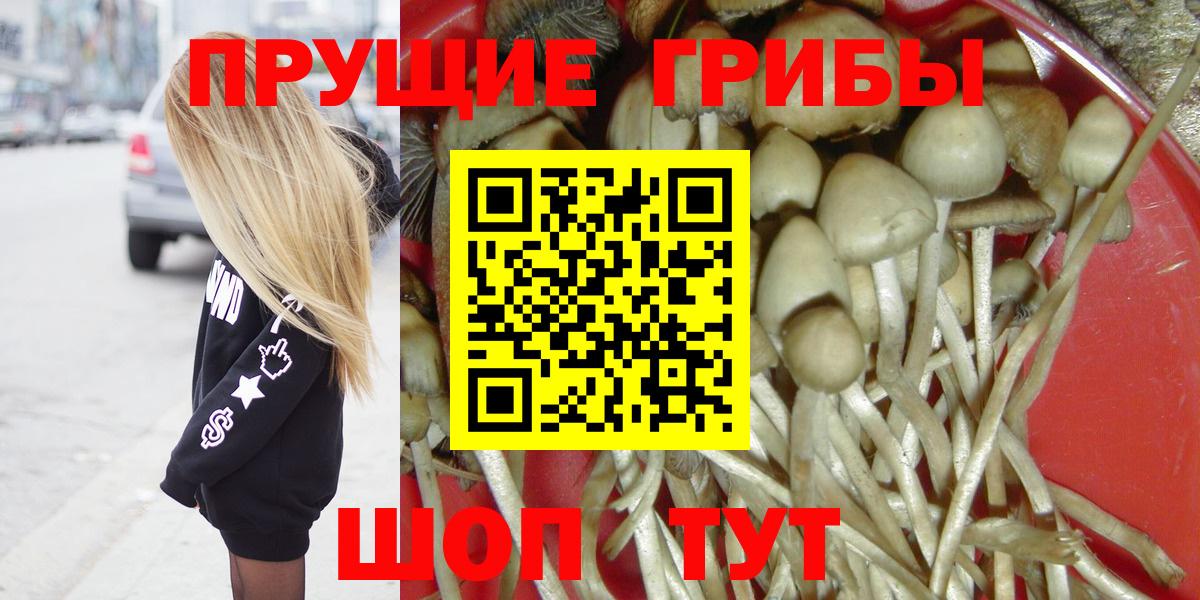 Тула  Галлюциногенные грибы ЛСД  Галлюциногенные грибы ЛСД  Вход с VPN 